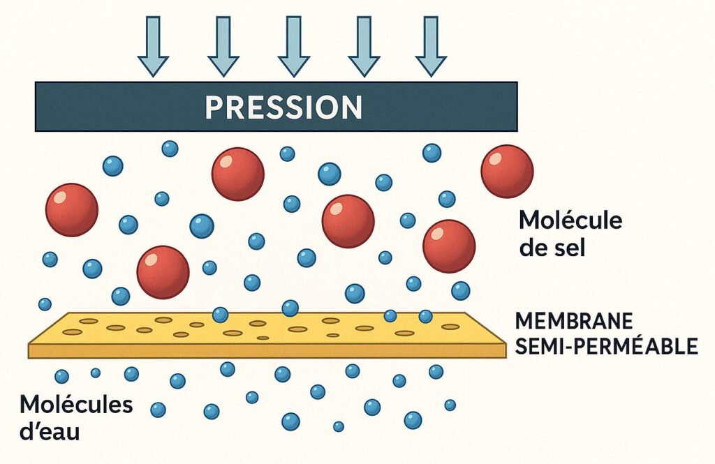 Schéma du principe de l'osmose inverse – pression, membrane et séparation des solutés